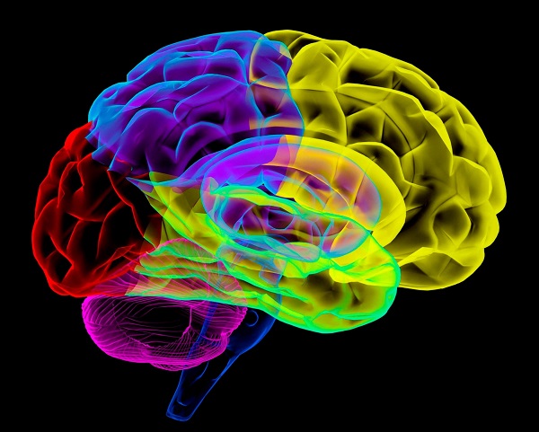 Co je neurodiverzita a kdo je neurodivergentní?  Neurodiverzní, nebo neurodivergentní?