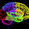 Co je neurodiverzita a kdo je neurodivergentní?  Neurodiverzní, nebo neurodivergentní?